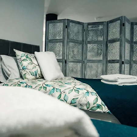 Bv Comfy Basement At Conditioning House *