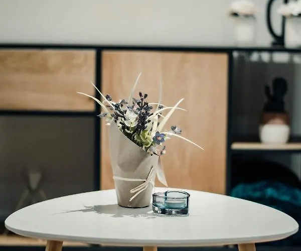 Bv Comfy Basement At Conditioning House Bradford (West Yorkshire)