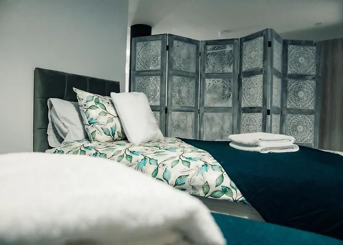 Bv Comfy Basement At Conditioning House *